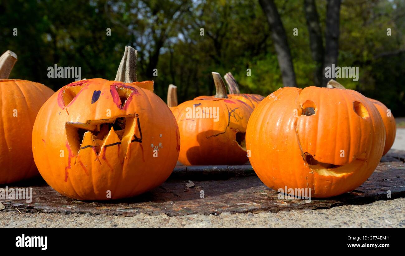 Citrouilles à l'extérieur effrayantes mais comiques pour Halloween Banque D'Images