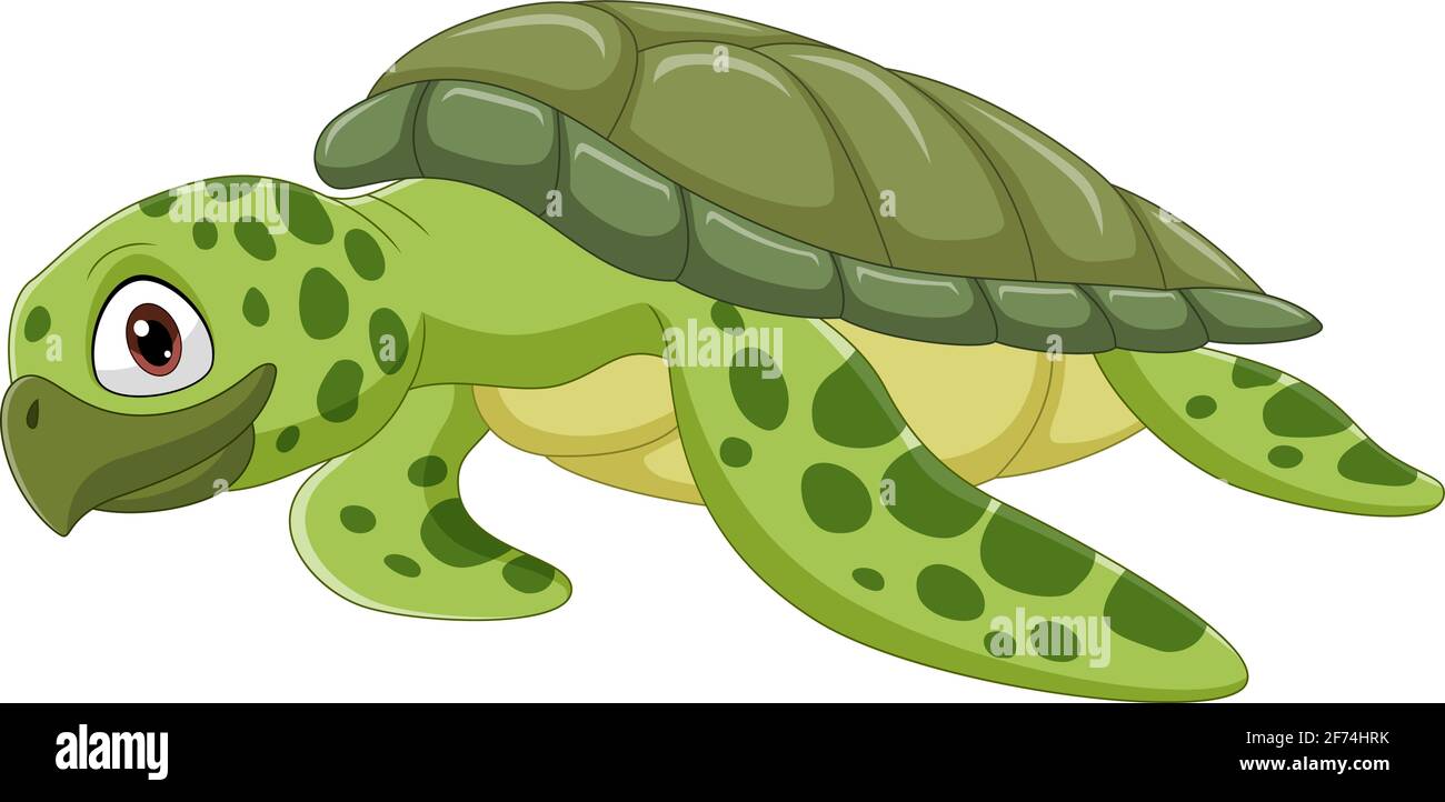 Bande dessinée tortue de mer sur fond blanc Illustration de Vecteur