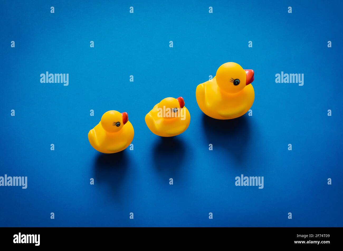 Mère de canard en caoutchouc jaune menant ses bébés sur fond bleu. Concept de fête des mères minimale. Banque D'Images
