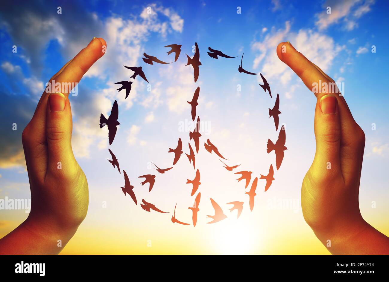 Mains et oiseaux volant dans la formation symbole de paix au coucher du soleil. Banque D'Images