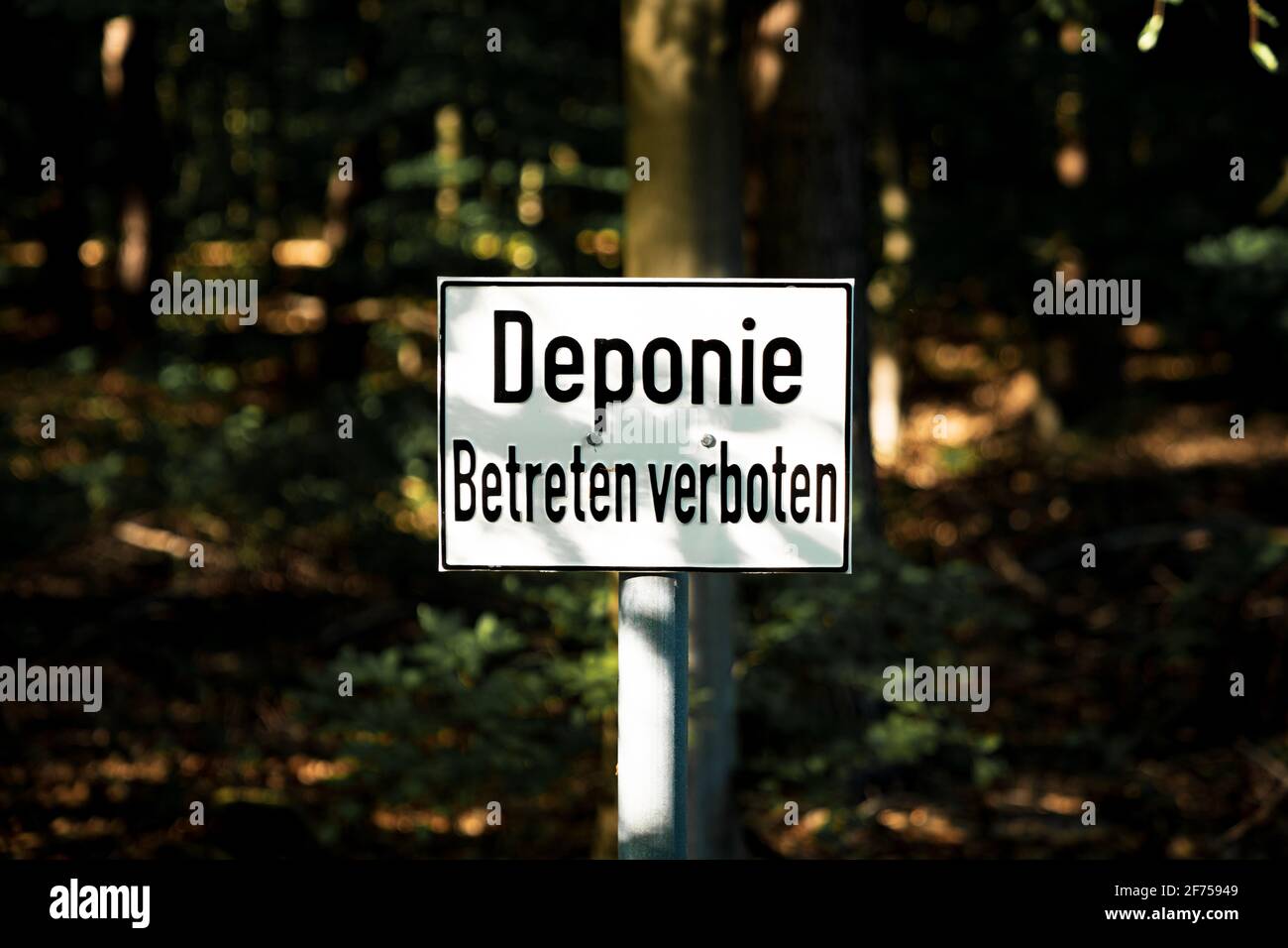 Panneau: Deponie Betreten verboten (allemand pour: Décharge, ne pas entrer), vu la forêt Quellenhang am Lintorfer Mark à Ratingen, Rhénanie-du-Nord-Westphalie Banque D'Images