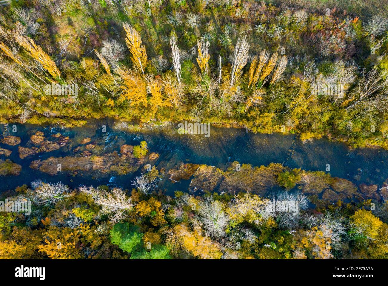 Vue aérienne d'une rivière avec végétation riveraine en automne. Banque D'Images
