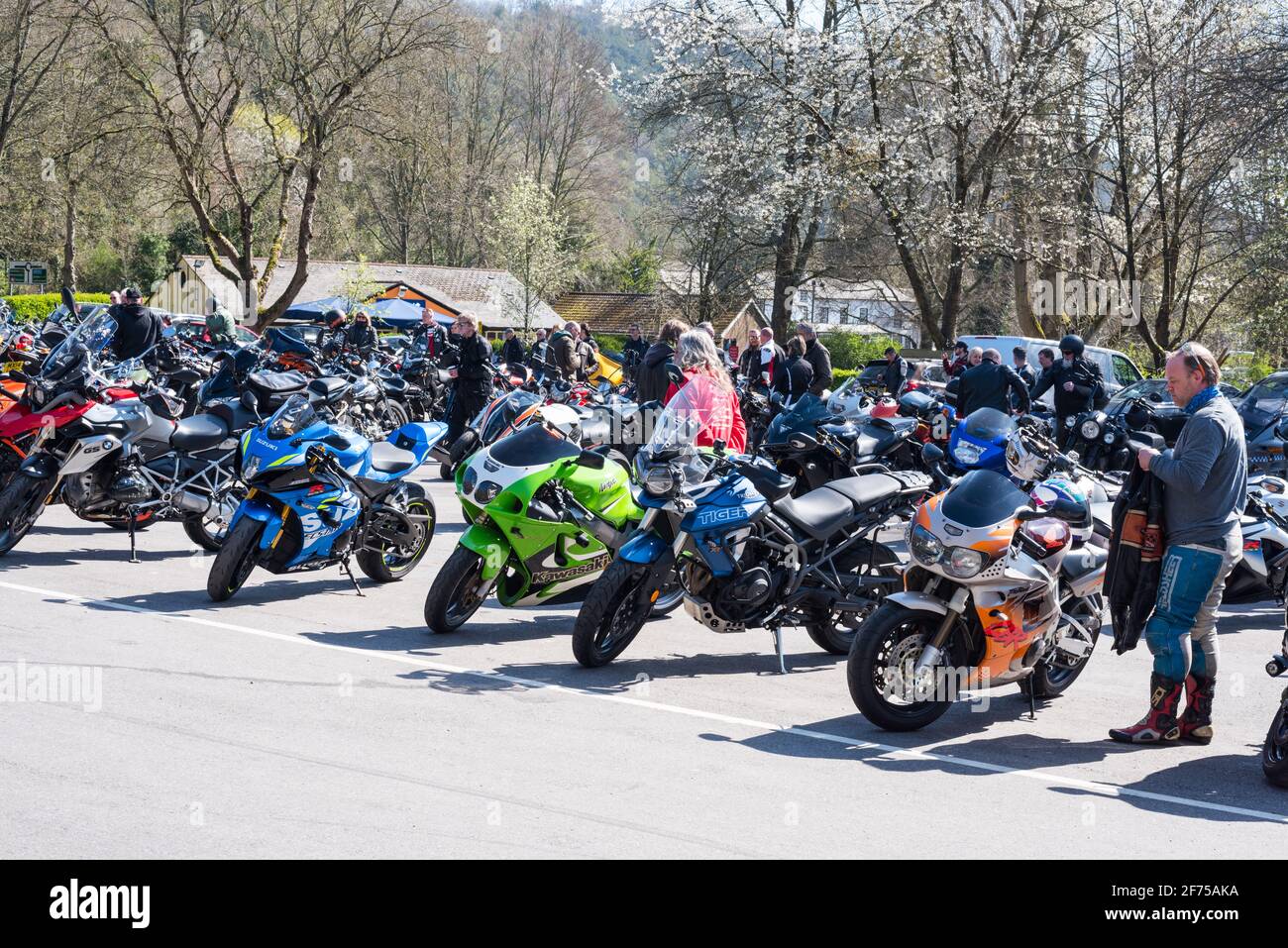 Motos garées dans un café populaire de moto Banque D'Images