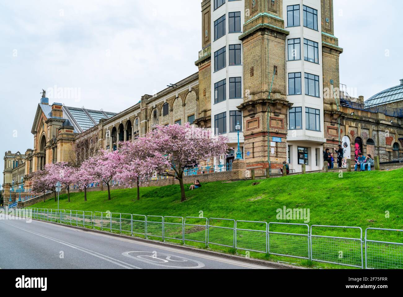 LONDRES, Royaume-Uni - MARS 31 2021: Cerisiers en fleurs à Alexandra Palace, un lieu de divertissement et de sport classé Grade II, situé entre Wood Green et Mus Banque D'Images