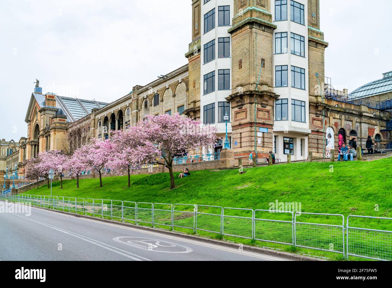 LONDRES, Royaume-Uni - MARS 31 2021: Cerisiers en fleurs à Alexandra Palace, un lieu de divertissement et de sport classé Grade II, situé entre Wood Green et Mus Banque D'Images