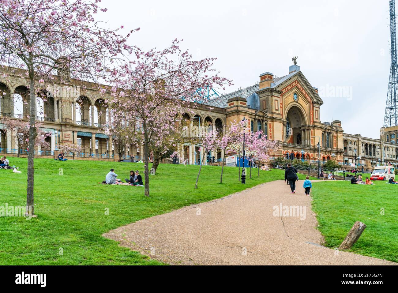 LONDRES, Royaume-Uni - MARS 31 2021: Cerisiers en fleurs à Alexandra Palace, un lieu de divertissement et de sport classé Grade II, situé entre Wood Green et Mus Banque D'Images