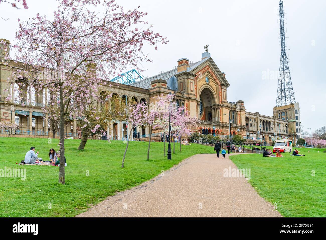 LONDRES, Royaume-Uni - MARS 31 2021: Cerisiers en fleurs à Alexandra Palace, un lieu de divertissement et de sport classé Grade II, situé entre Wood Green et Mus Banque D'Images