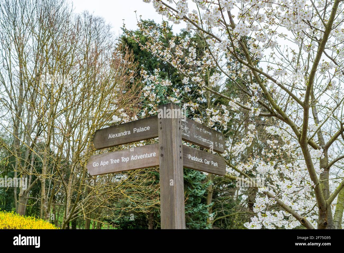 Ancien panneau en bois avec indications sur Alexandra Palace à Londres, Royaume-Uni - attention sélective Banque D'Images