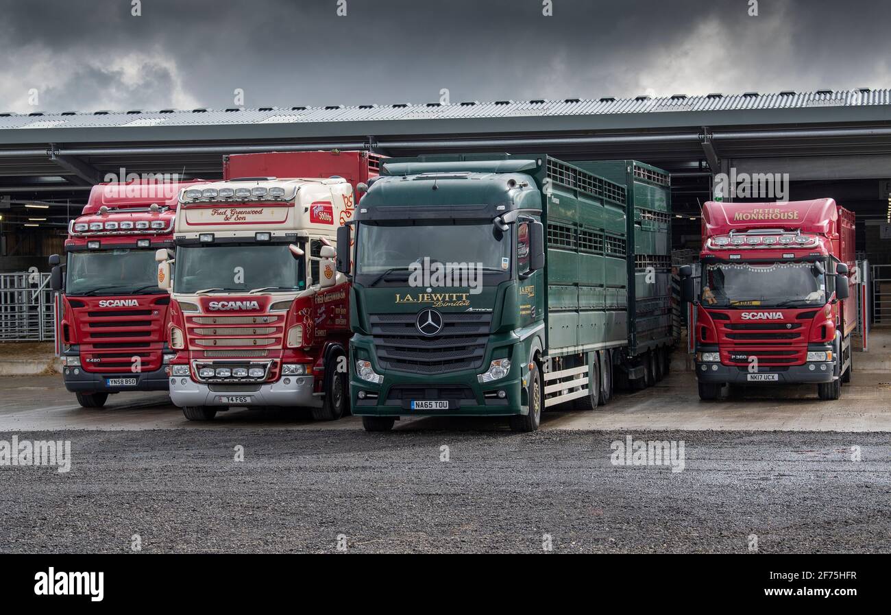 Wagons de transport de bétail garés dans un magasin de vente aux enchères, Darlington, Royaume-Uni Banque D'Images