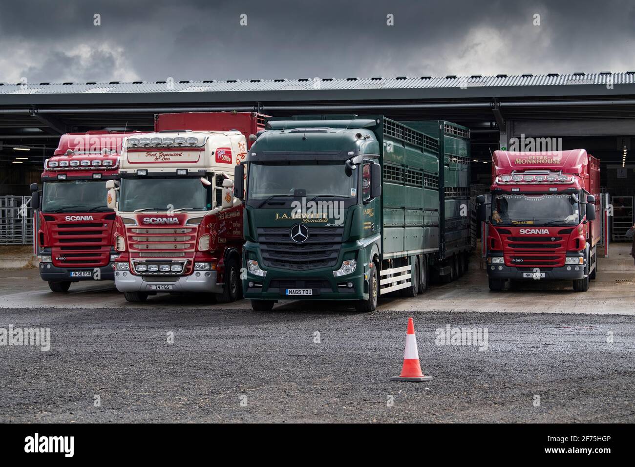 Wagons de transport de bétail garés dans un magasin de vente aux enchères, Darlington, Royaume-Uni Banque D'Images