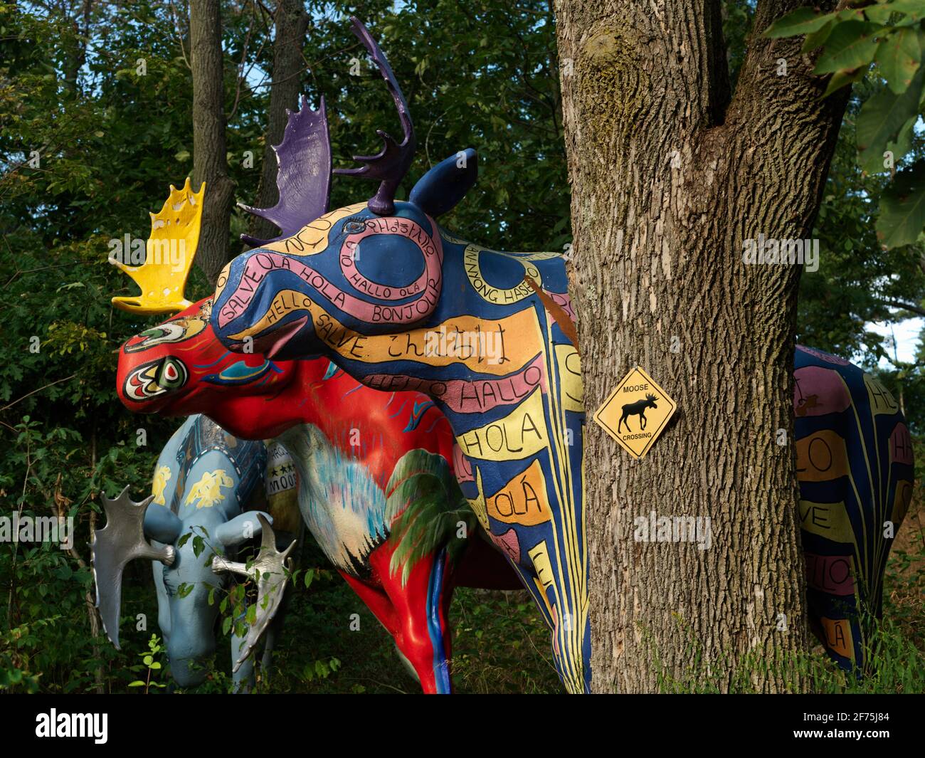 Canada,Ontario,Ivy Lea,peint des sculptures d'orignal dans un cadre forestier Banque D'Images