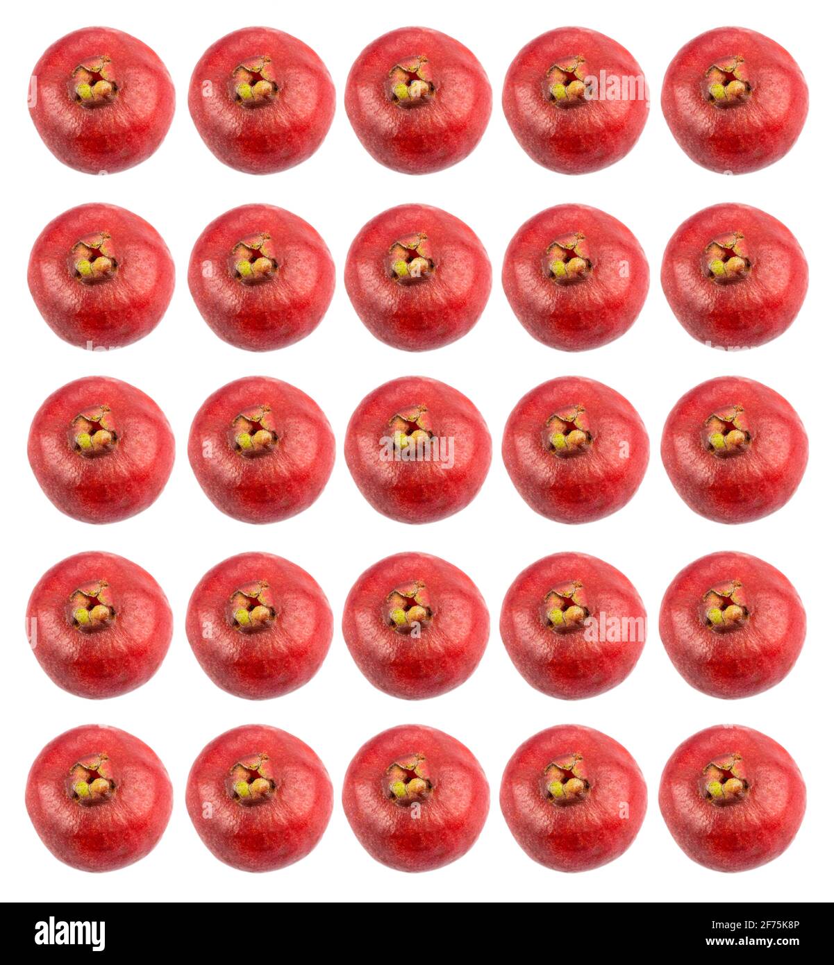 Psidium cattleianum - Guavas fraise. Espace de texte Banque D'Images