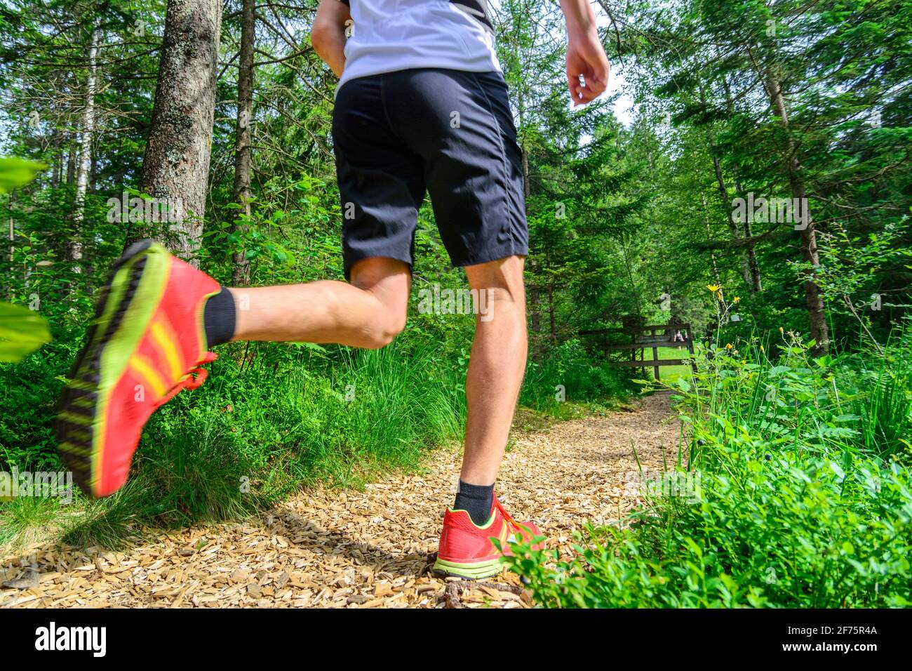 Les jeunes font du jogging sur un sentier forestier, un entraînement de course pour deux. Banque D'Images
