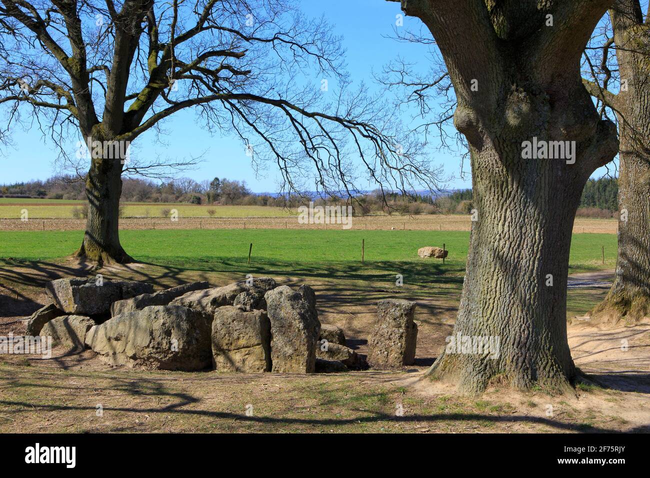 Le dolmen mémalthique de Weris II (Dolmen d'Oppagne) daté du 3000 av. J.-C. à Oppagne (Durbuy), Belgique Banque D'Images