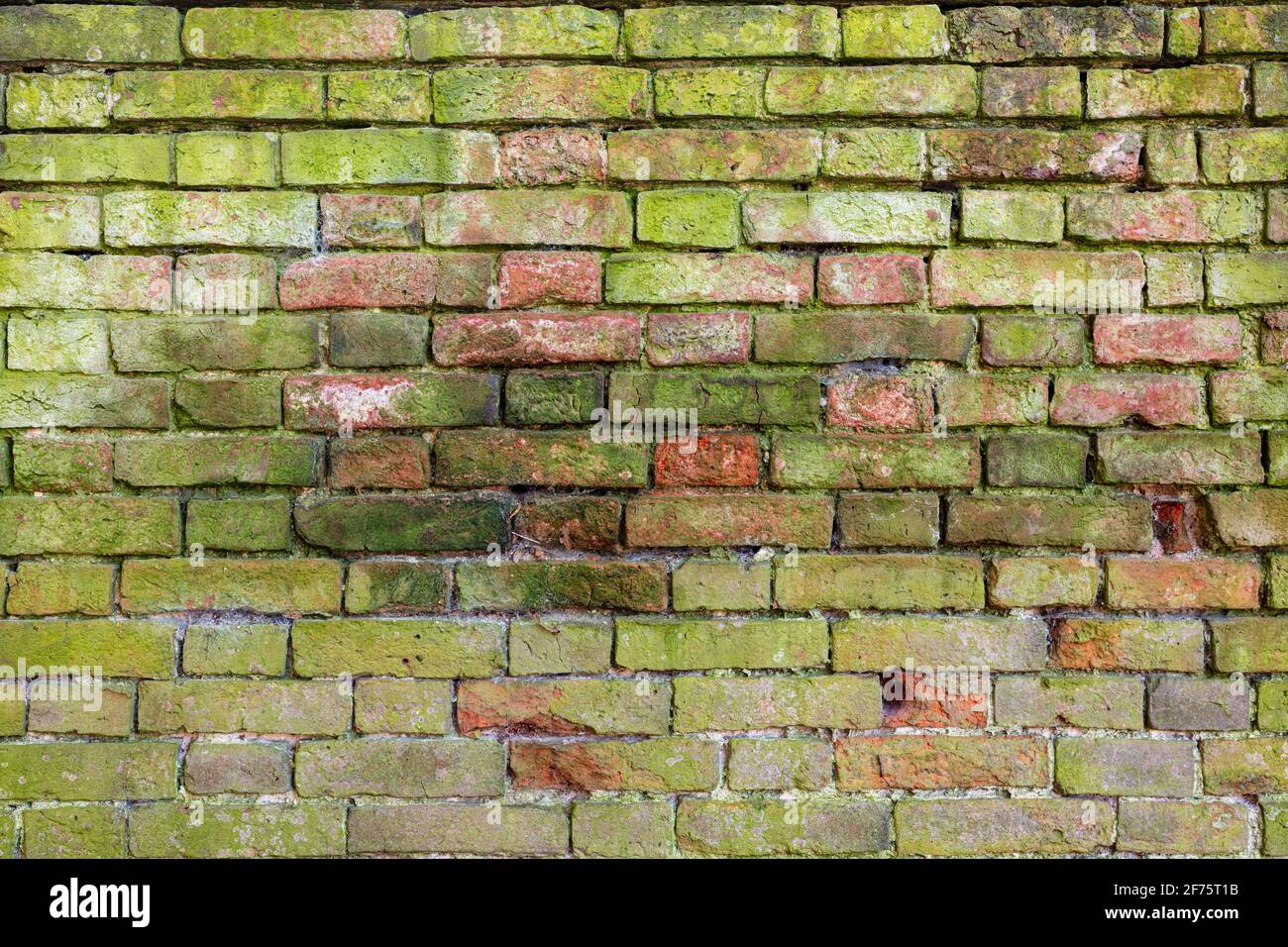 Mur de briques arrière-plan variété de briques mur de briques montrant des signes d'altération et d'usure, bien porté briques faites à la main avec mortier de chaux haute résolution Banque D'Images