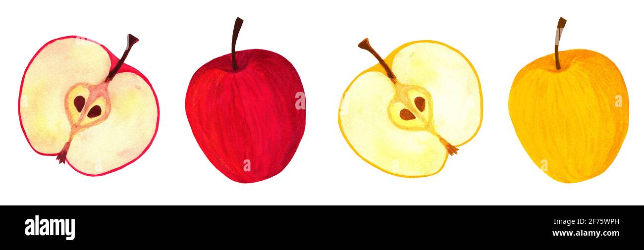 Ensemble de pommes juteuses. Illustration de fruits aquarelle rouge et jaune Banque D'Images