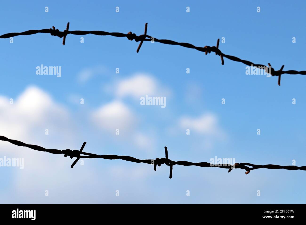 Silhouette de fil barbelé rouillé contre le ciel bleu et les nuages blancs. Contexte de la prison, de la guerre ou de l'immigration Banque D'Images
