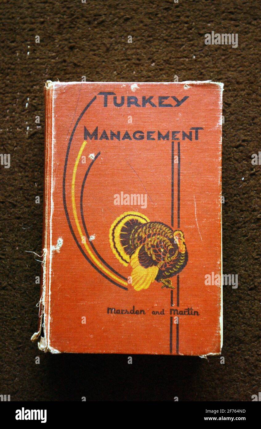 PREMIER LIVRE DE BERNARD MATTHEWS SUR LES DINDES ,NORFOLK,8/12/04 PILSTON Banque D'Images PREMIER LIVRE DE BERNARD MATTHEWS SUR LES DINDES ,NORFOLK,8/12/04 PILSTON Banque D'Images