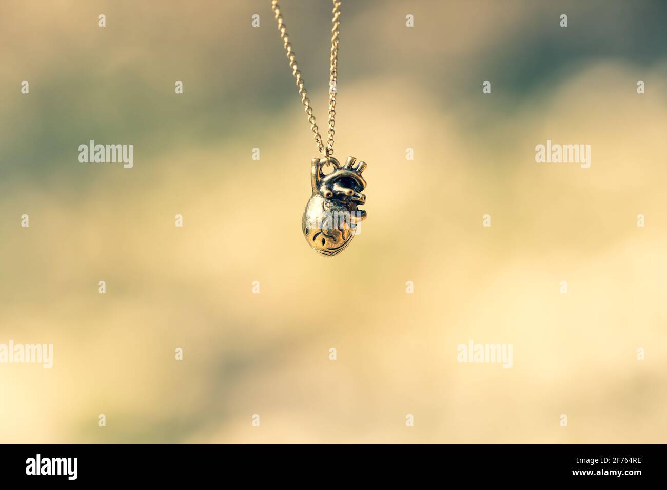 Anatomie pendentif coeur 3D avec collier bronze couleur Shoot à l'extérieur dans la nature en un jour d'été gros plan. Mise au point sélective Banque D'Images