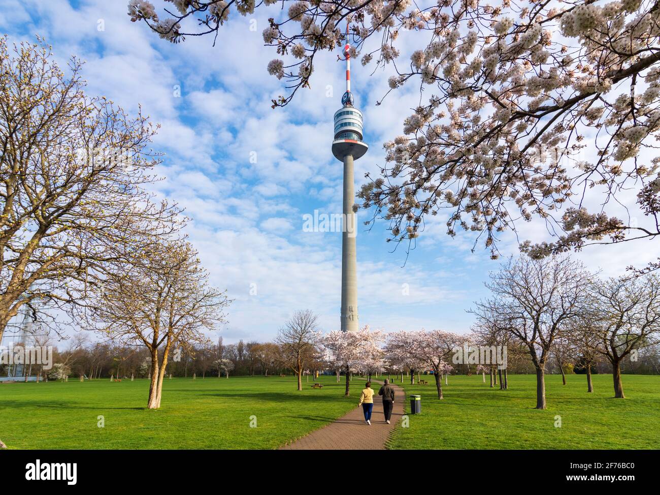 Wien, Vienne: Cerisiers en fleurs au parc Donaupark, Donauturm (Tour du Danube) en 22. Donaustadt, Wien, Autriche Banque D'Images
