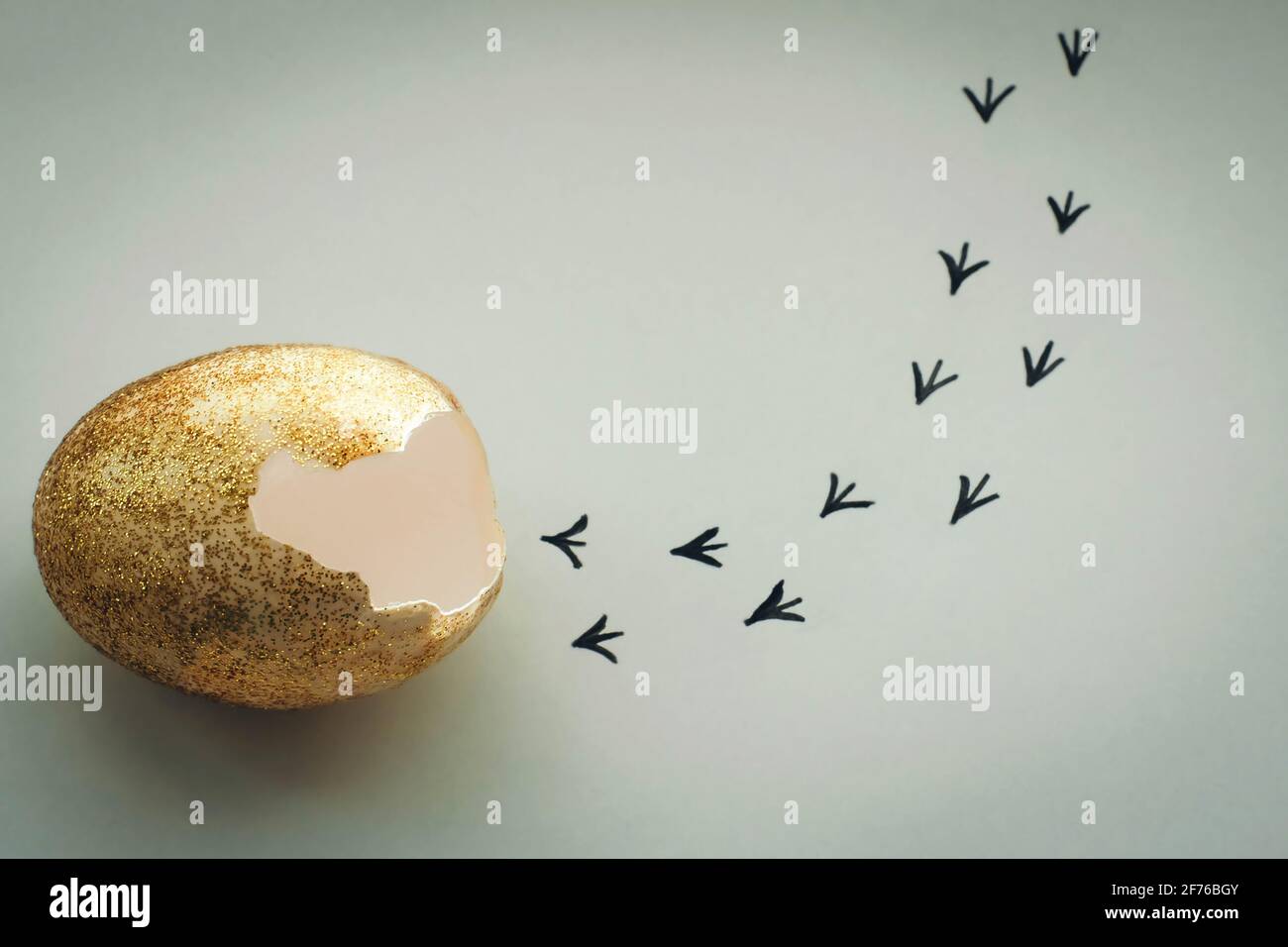 Empreintes d'un coquillage. Premières étapes d'un poussin sur un fond blanc isolé. Concept de sortie de la zone de confort, une nouvelle vie, le progrès Banque D'Images