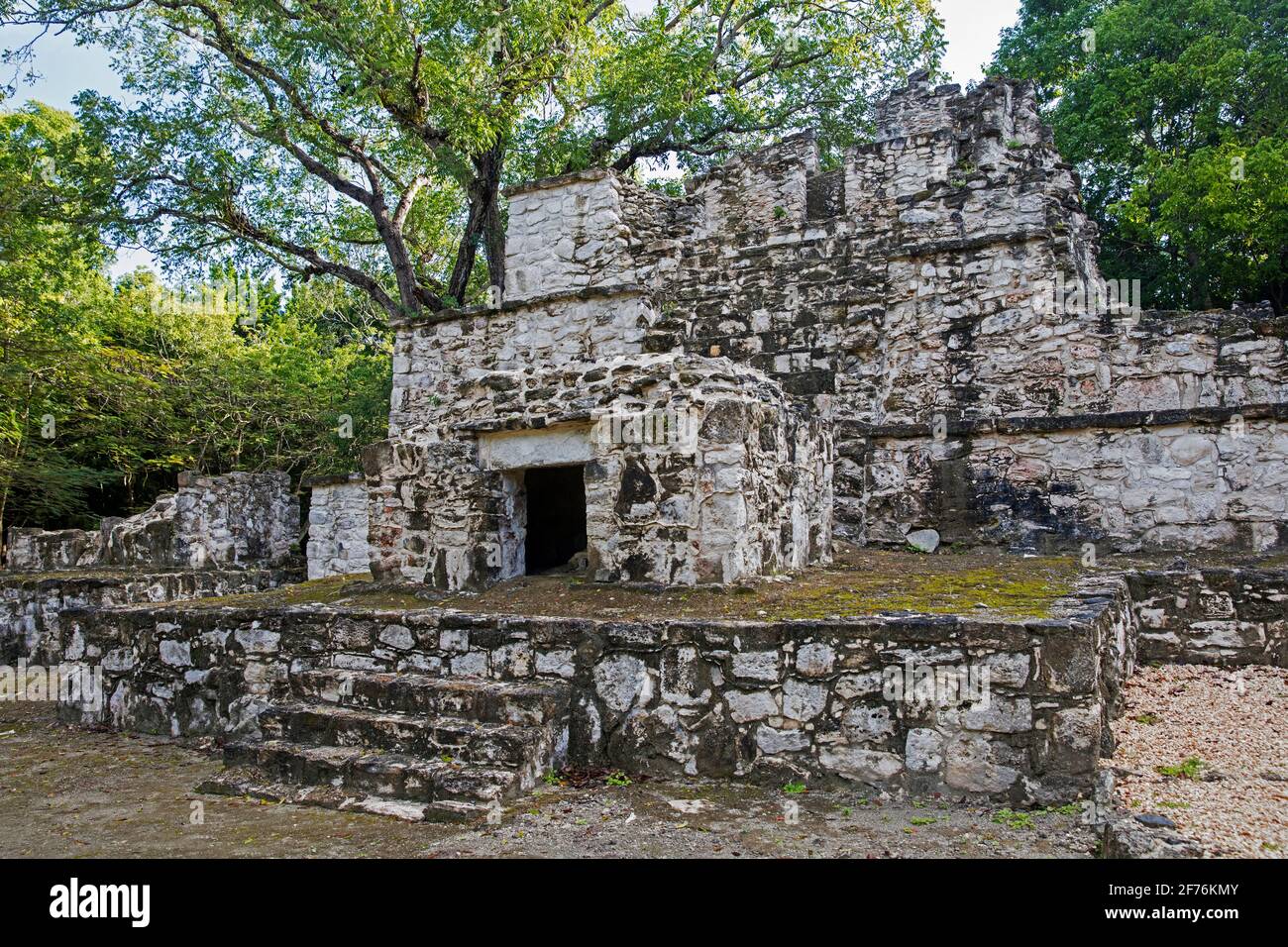 Ruines mayas anciennes à Muyil / Chunyaxché dans la réserve de biosphère de Sian Ka'an, Felipe Carrillo Puerto, Quintana Roo, péninsule de Yucatán, Mexique Banque D'Images