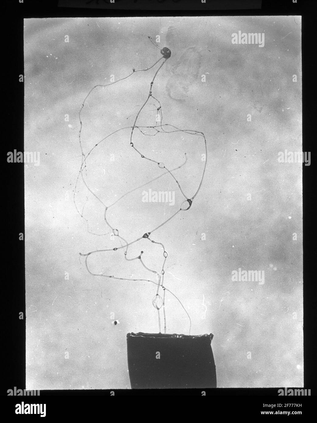Image de Skioticon du Département de la photographie de l'Institut royal de technologie. Utilisation par le professeur Helmer Bäckström comme matériel de conférence. Photographie à grande vitesse. Une bulle qui éclate. Banque D'Images