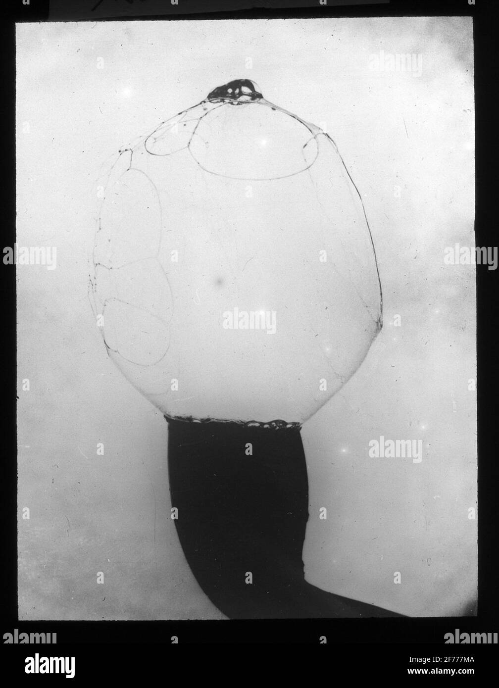 Image de Skioticon du Département de la photographie de l'Institut royal de technologie. Utilisation par le professeur Helmer Bäckström comme matériel de conférence. Photographie à grande vitesse. Bulle. Banque D'Images