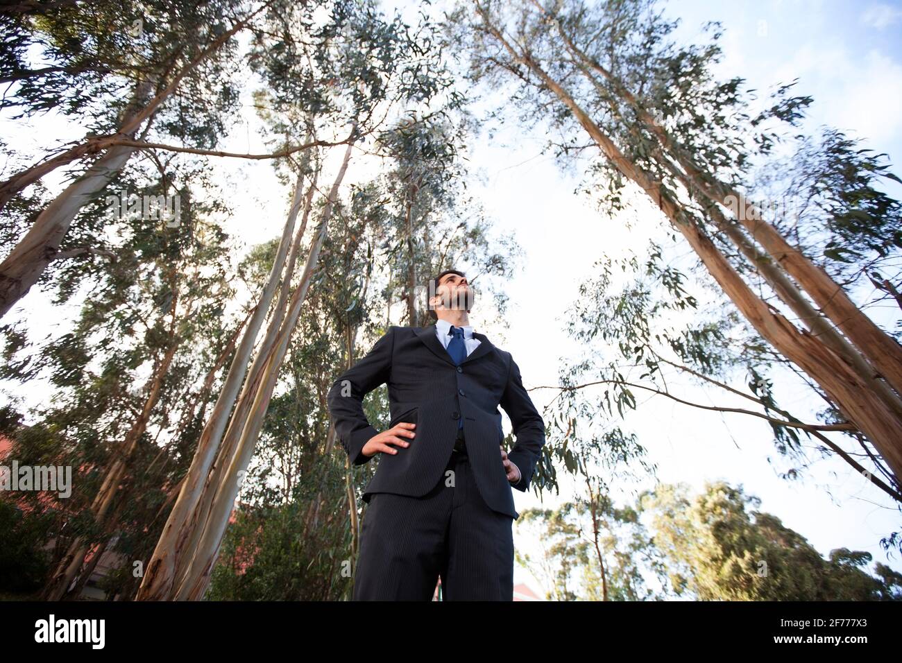 Homme d'affaires de puissance à la forêt, vue à l'eau douce Banque D'Images