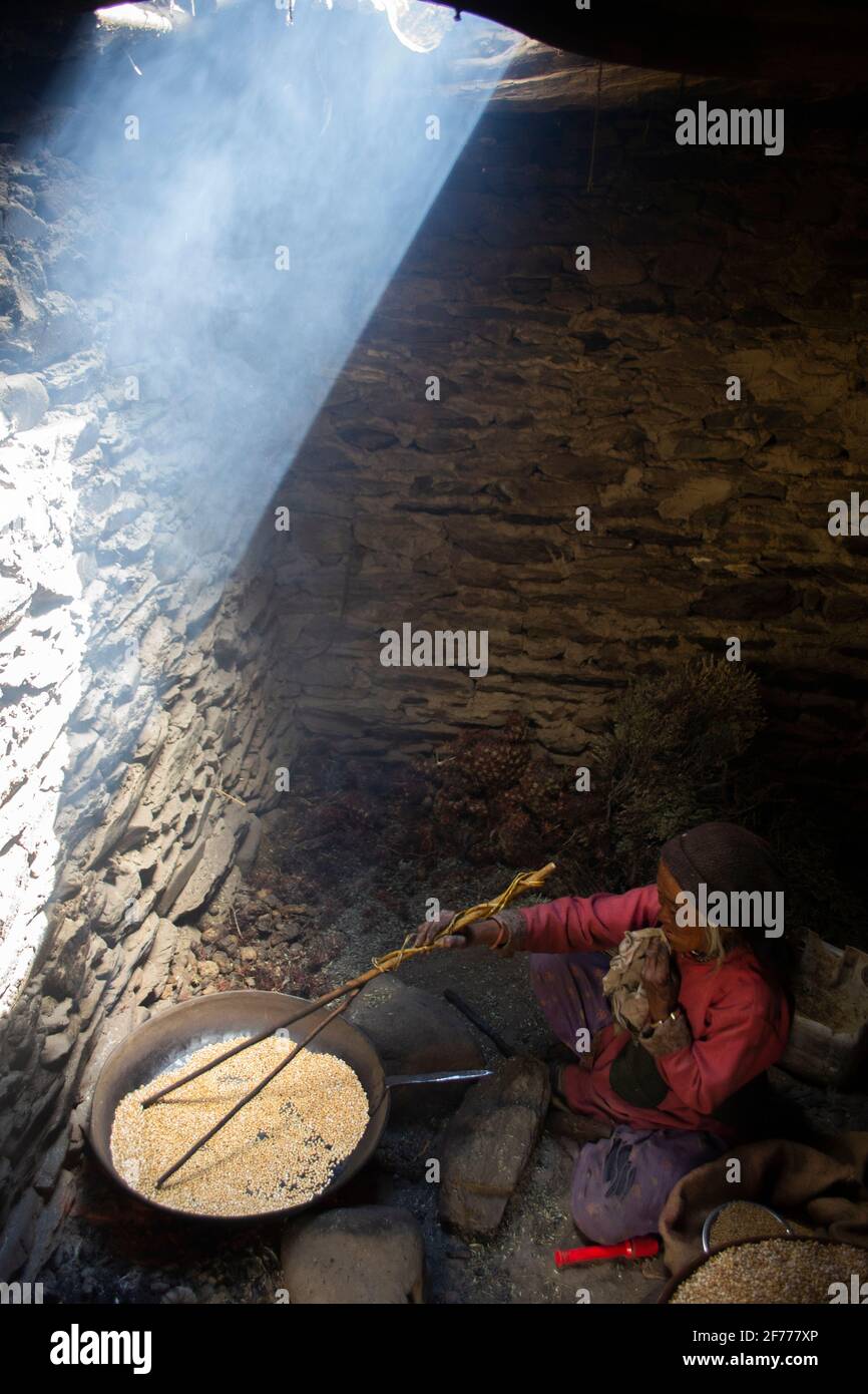 Zanskar, Inde. Femme au travail Banque D'Images