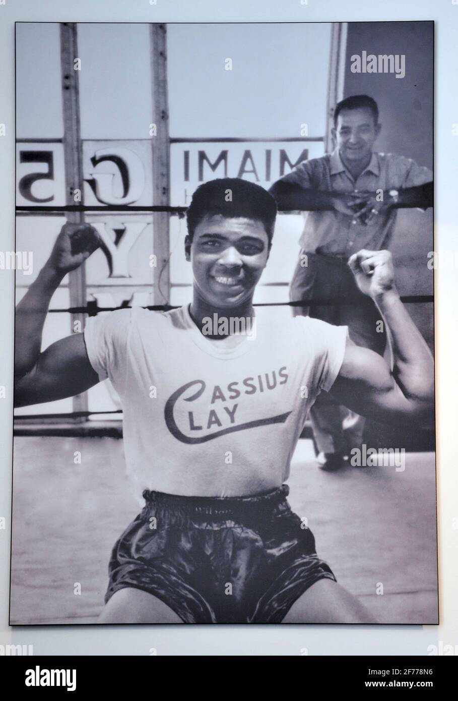 Cassius Clay (maintenant Muhammad Ali), au 5e St Gym d'Angelo Dundee Miami 12 avril 2011. PHOTO DAVID ASHDOWN Banque D'Images