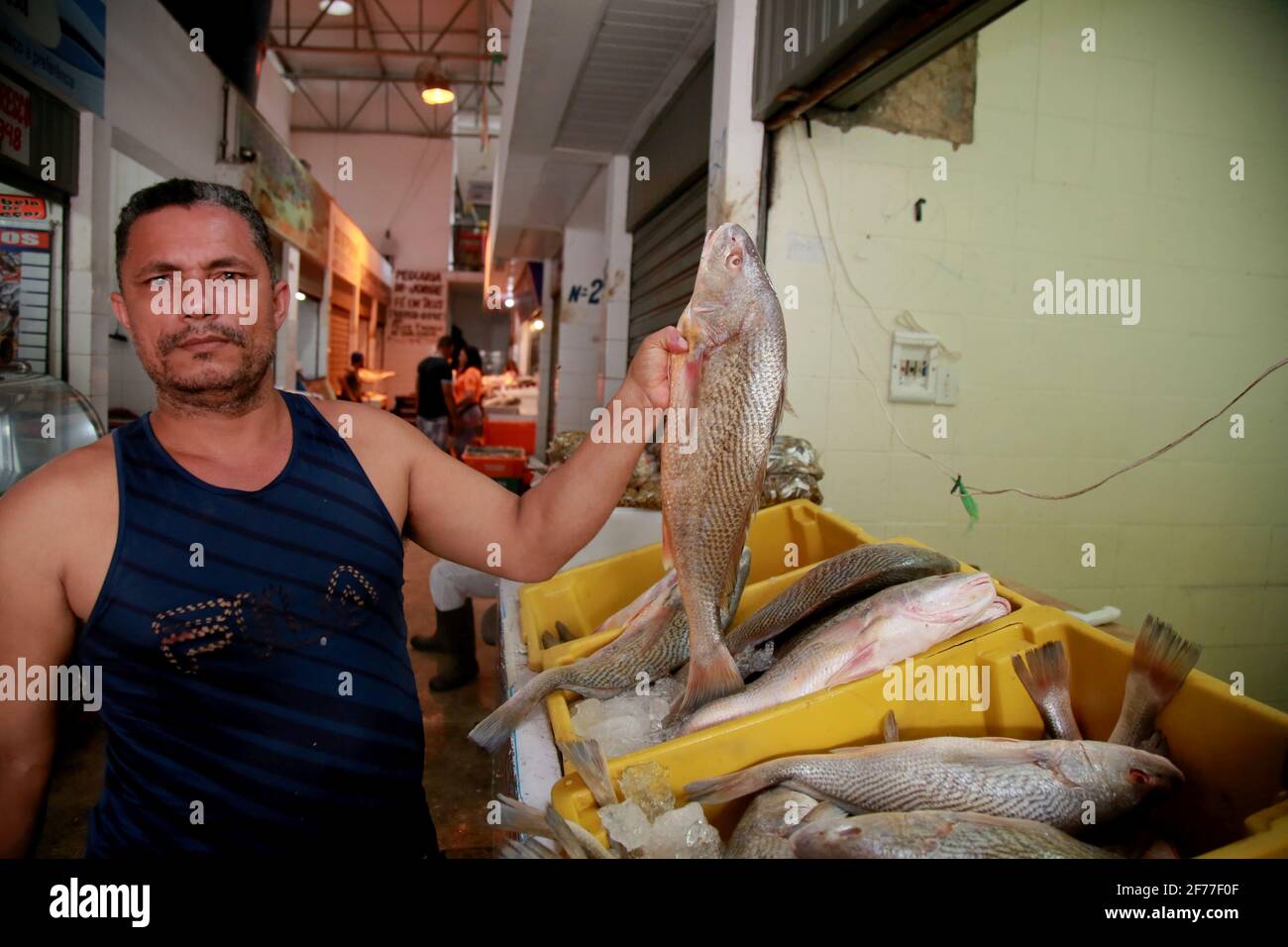 salvador, bahia/brésil - 6 novembre 2019 : Roberto Silva, 46 ans, négociant à la foire de São Joaquim à Salvador (BA), se plaint qu'il n'est pas en mesure de vendre des fi Banque D'Images