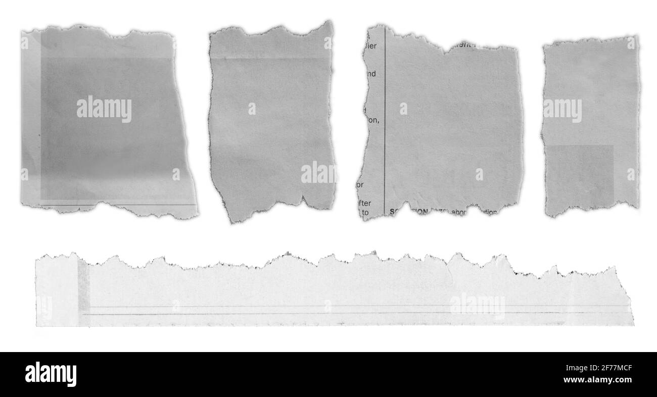 Cinq morceaux de papier déchiré sur fond uni Banque D'Images