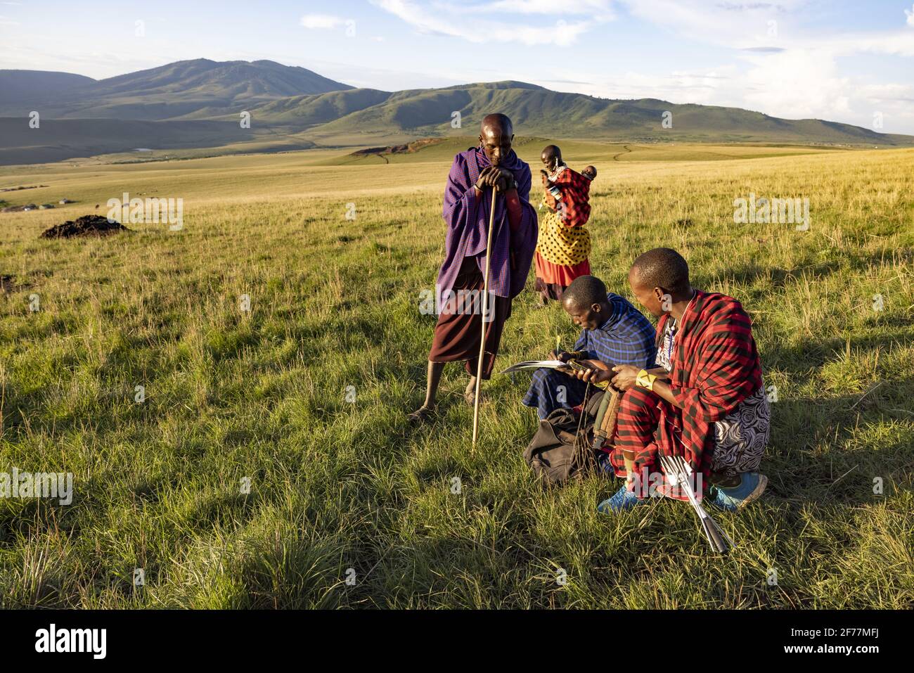 Tanzanie, Ngorongoro, région d'Arusha, Boma Mokila, zone de conservation de Ngorongoro, Le Massai de l'ONG Kopelion prendre note des chèvres disparues de Boma Banque D'Images