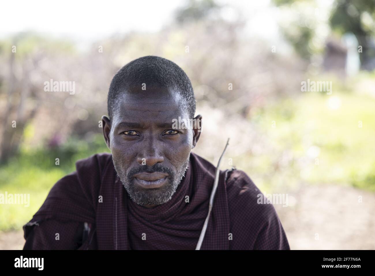 Tanzanie, WMA (zone de gestion de la faune) de Randilen, boma Melembuki Mengoru, portrait d'un habitant de Massai Banque D'Images