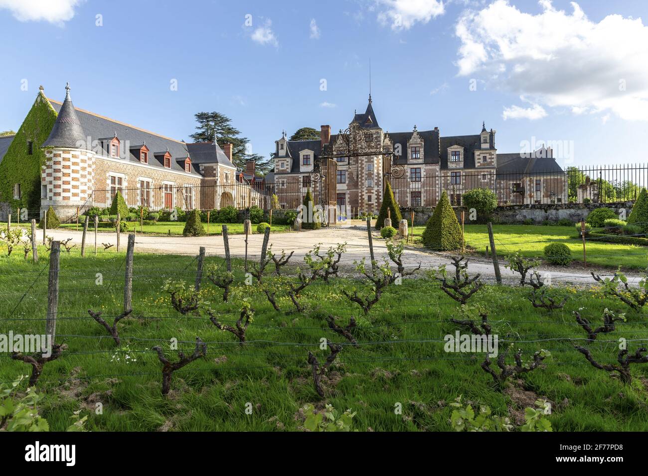 France, Indre et Loire, vallée de la Loire classée au patrimoine mondial de l'UNESCO, Vernou-sur-Brenne, château de Jallanges Banque D'Images