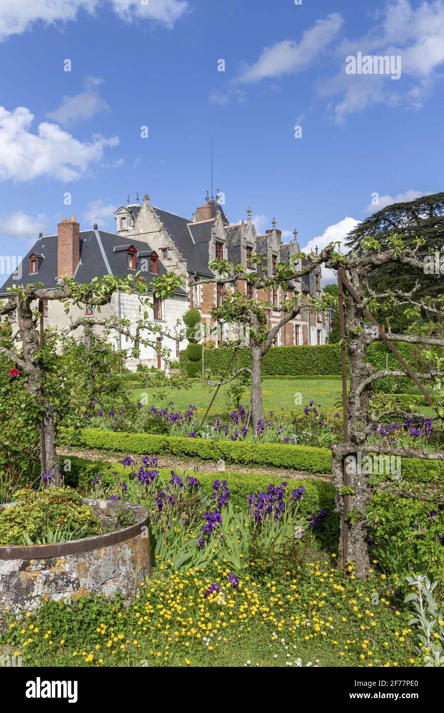 France, Indre et Loire, vallée de la Loire classée au patrimoine mondial de l'UNESCO, Vernou-sur-Brenne, château de Jallanges Banque D'Images