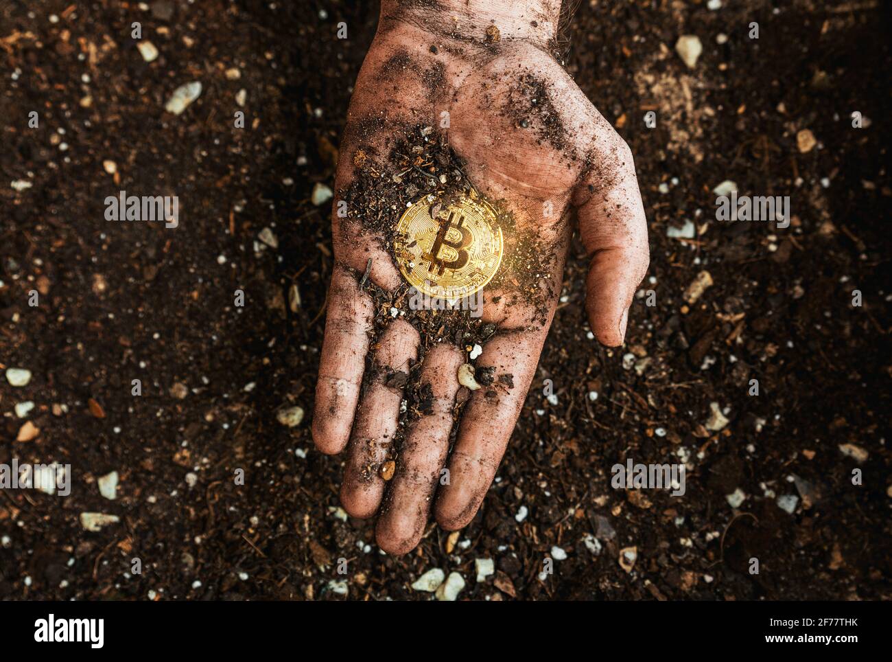 Un bitcoin doré sur la main sale d'un mineur. Métaphore de la mine de BTC et de crypto-monnaies. Concept d'affaires numériques et de finances décentralisées Banque D'Images