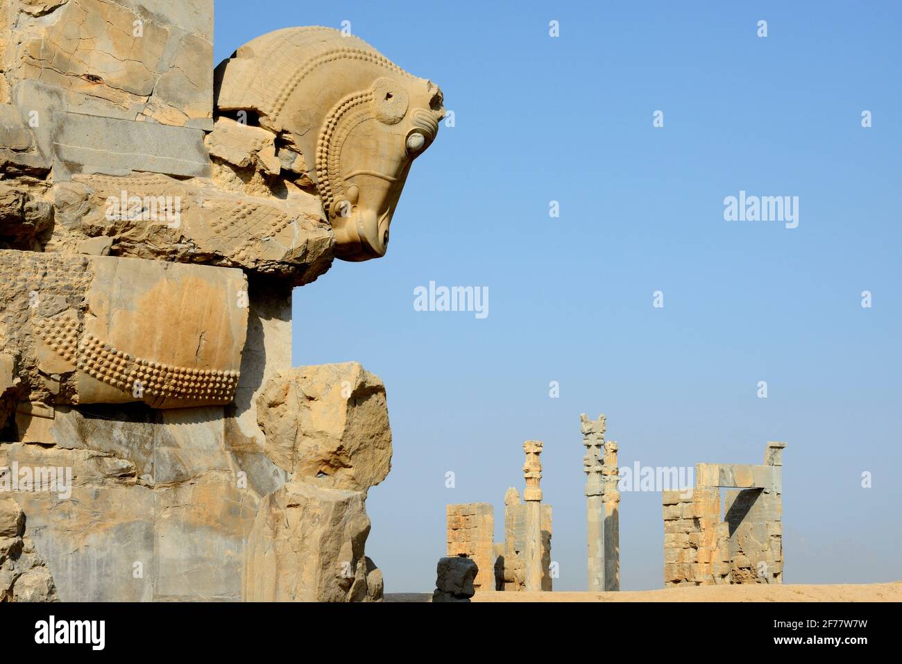 Iran, Persepolis, classé au patrimoine mondial de l'UNESCO Banque D'Images
