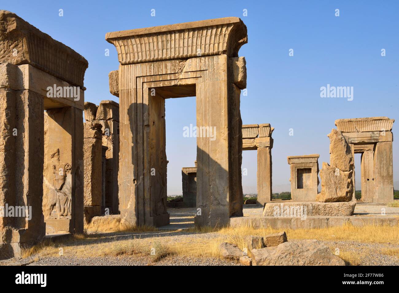 Iran, Persepolis, classé au patrimoine mondial de l'UNESCO, Palais Darius Banque D'Images