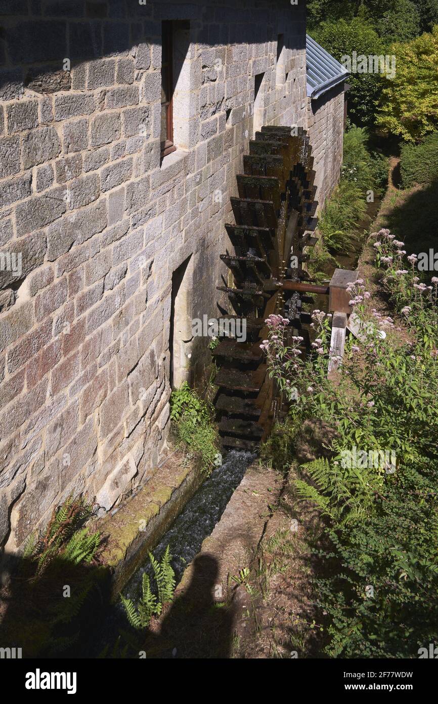 France, Morbihan, Saint-Nolff, le Moulin du Gourvinec, la roue à aubes Banque D'Images