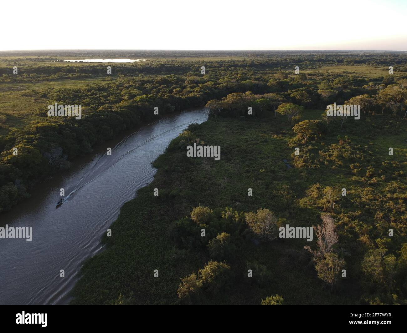 Brésil, Mato Grosso do Sul, Pantanal, Rio Cuiaba (vue aérienne) Banque D'Images