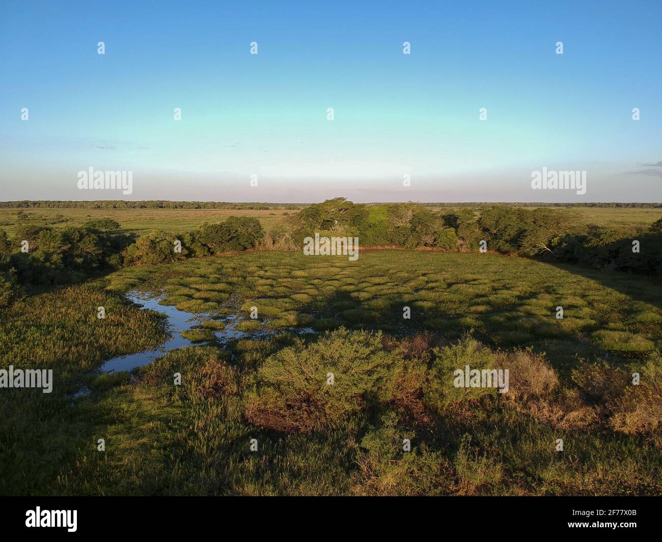 Brésil, Mato Grosso do Sul, Pantanal (vue aérienne) Banque D'Images