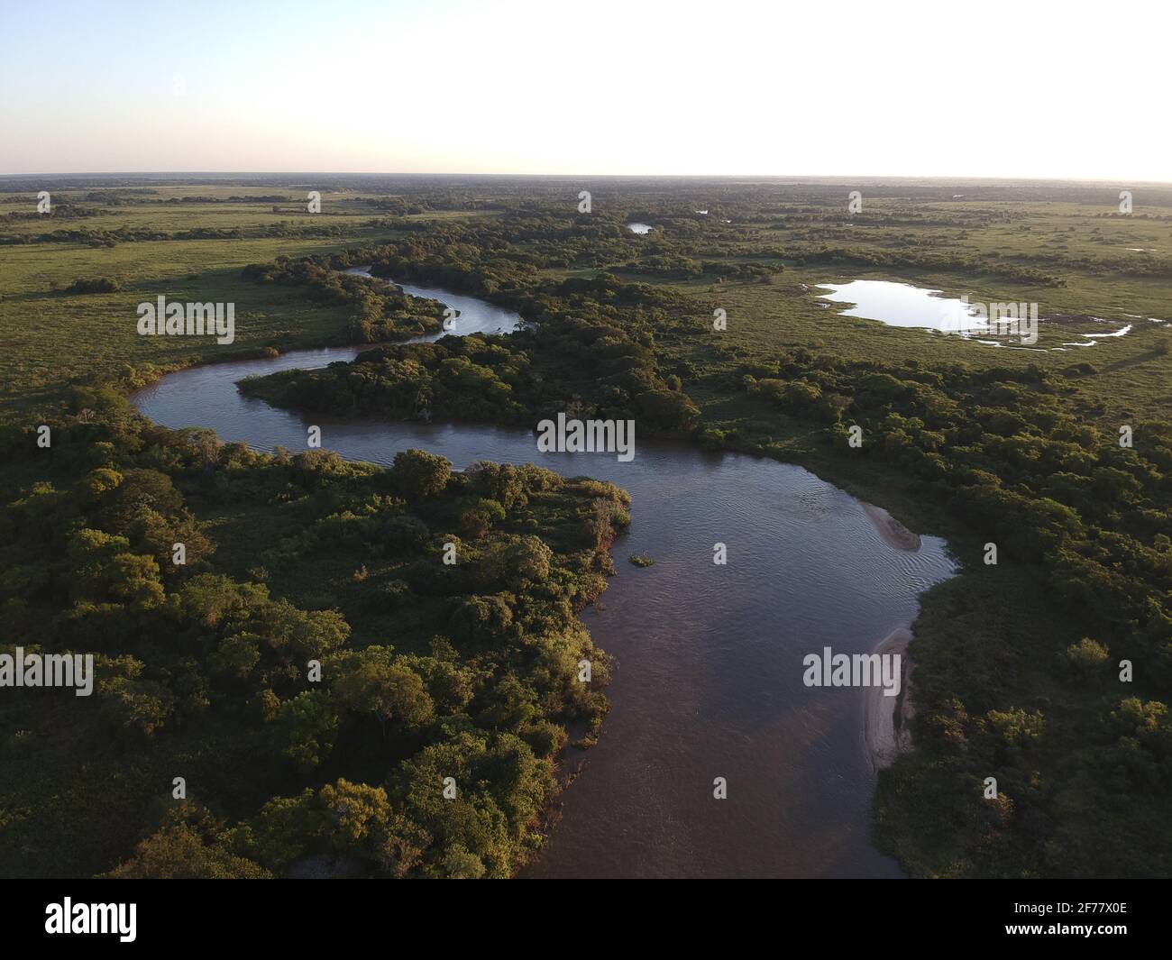 Brésil, Mato Grosso do Sul, Pantanal, Rio Cuiaba (vue aérienne) Banque D'Images