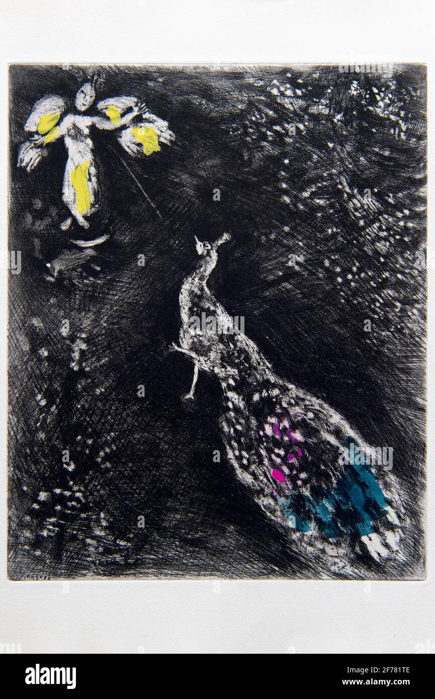 France, Aisne, Château-Thierry, Musée Jean de la Fontaine - ville de Château-Thierry, illustrations des Fables de la Fontaine, le Peacock se plaignant de Juno fable gravure du Livre II, gravures de Marc Chagall, 1927-1930 (cuivre XVII), publié par Thériade en 1952, gravé sur papier vélin, rehaussé de gouache et aquarelle Banque D'Images