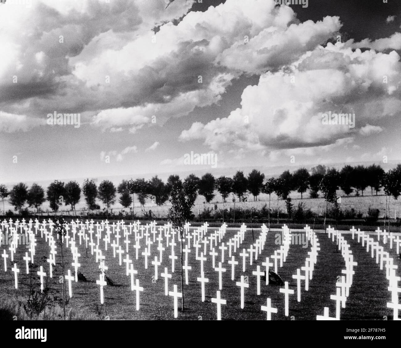 TOMBES DES ANNÉES 1920 DE LA GUERRE MONDIALE 1 RANGÉE MORTE SUR RANGÉE PIERRES À TÊTE DE CROIX BLANCHE CIMETIÈRE AMÉRICAIN AISNE-MARNE AU PIED DE BELLEAU BOIS FRANCE - H1385 PIERRES TOMBALES HAR001 HARS Banque D'Images