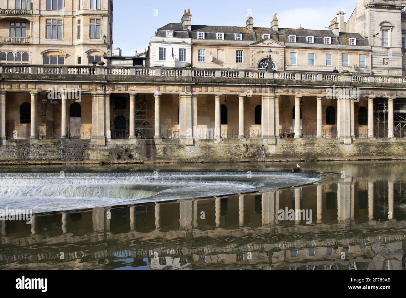 Un oiseau s'assit sur une bûche dérivante sur le Pulteney Weir en forme de fer à cheval, enjambant la rivière Avon et juste en aval du célèbre pont Pulteney. Banque D'Images