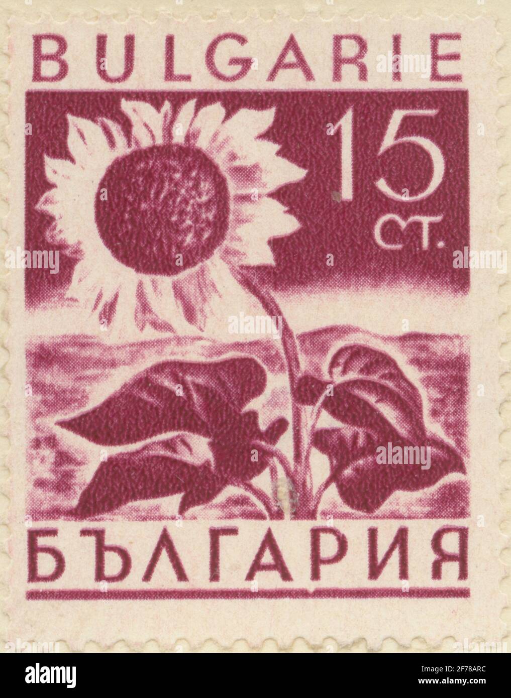 Timbre de Gösta Bodman de la philatéliste cession, a commencé en 1950.le timbre de Bulgarie, 1938. Motifs de tournesol. 'Série : produits agricoles domestiques'. Banque D'Images