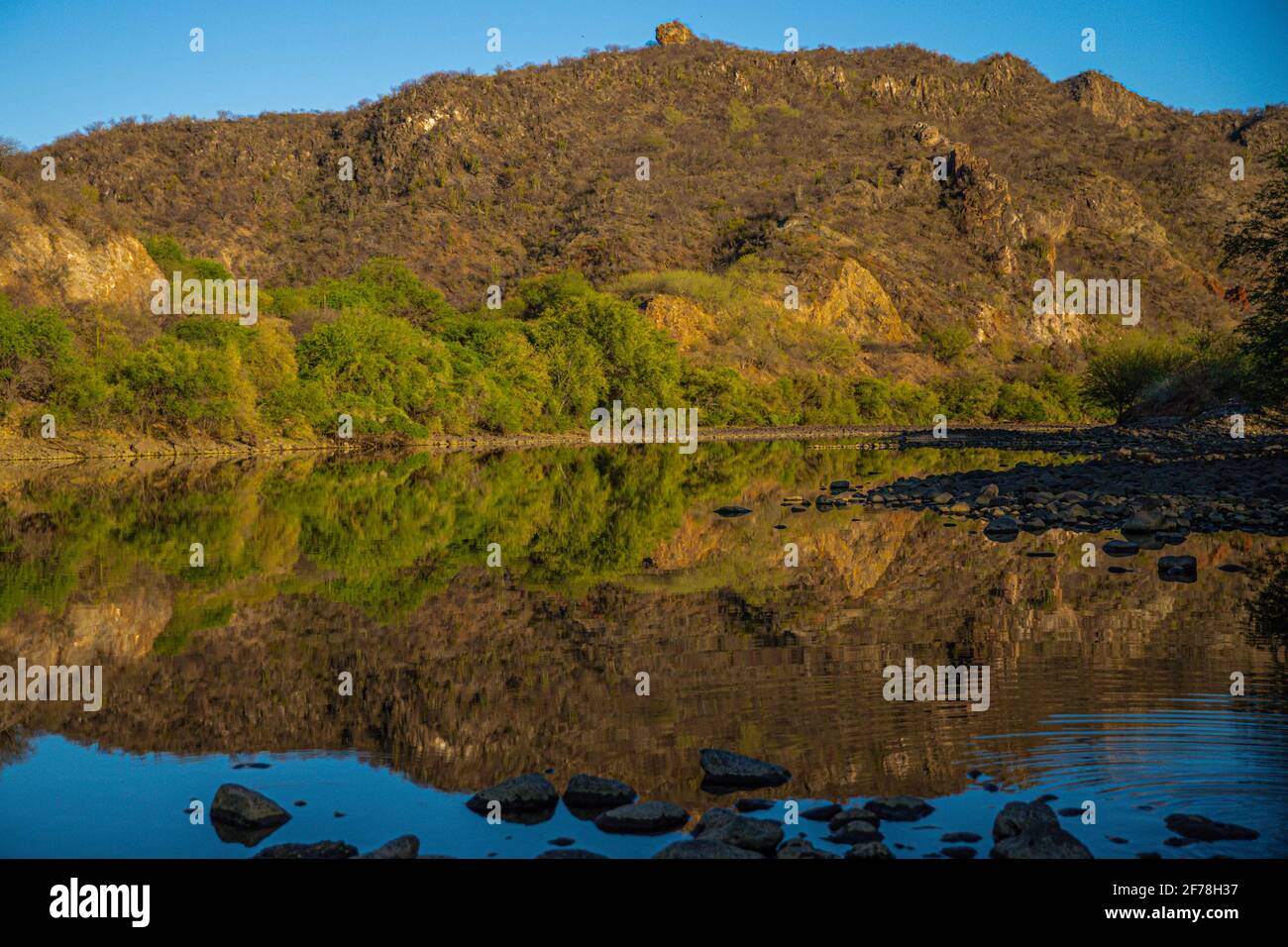 Reflet d'une colline et de buissons dans l'eau de la rivière Yaqui traverse El Novillo, Sonora, Mexique. (Photo par Luis Gutierrez / Norte photo) Repelo de cerro y abrustos en el agua del rio Yaqui en su paso por El Novillo, Sonora, Mexique. (Photo par Luis Gutierrez / Norte photo) Banque D'Images