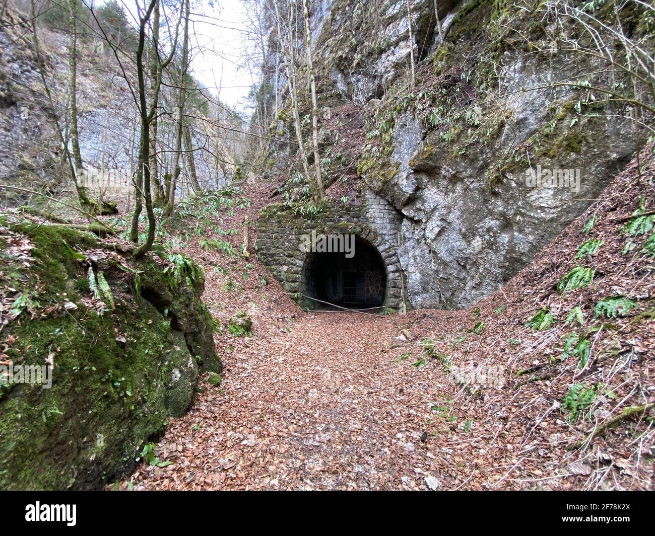 Entrée abandonnée du tunnel ferroviaire de l'ancien chemin de fer local d'Ischler à Salzkammergut, en Autriche Banque D'Images